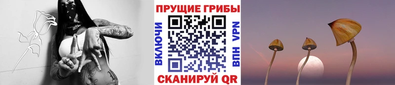 Псилоцибиновые грибы MAGIC MUSHROOMS  Белёв 